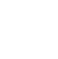 Privacy Icon